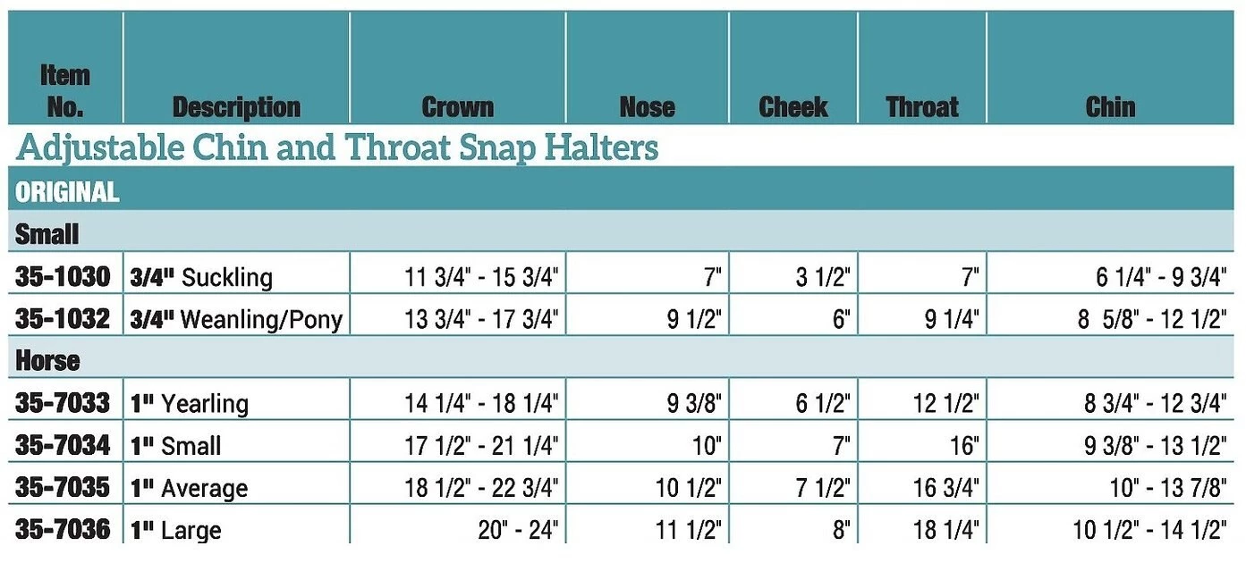 Weaver Leather Original Adjustable Nylon Horse Halter 5 Weaver Leather Original Adjustable Nylon Horse Halter - Image 3