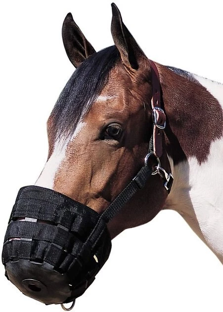 Weaver Leather Horse Grazing Muzzle, Black, Large 4 Weaver Leather Horse Grazing Muzzle, Black, Large - Image 2