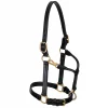 Weaver Leather Track Horse Halter, 1-in -Weaver Leather Sales 2022 240091 MAIN. SY630 V1595090161