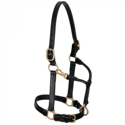 Weaver Leather Track Horse Halter, 1-in