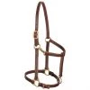 Weaver Leather Track Horse Halter, Mahogany 1 Weaver Leather Track Horse Halter, Mahogany -Weaver Leather Sales 2022 240093 MAIN. SY630 V1595090165