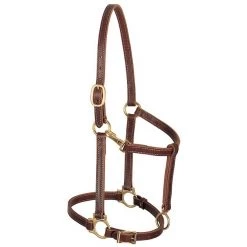 Weaver Leather Track Horse Halter, Mahogany