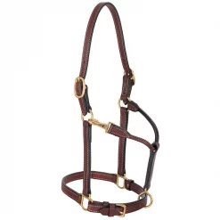 Weaver Leather Double Buckle Crown Horse Halter