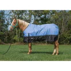 Weaver Leather Economy 600D Turnout Horse Blanket