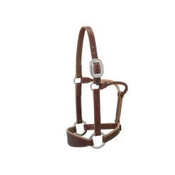 Weaver Leather Stacy Westfall Bronc Horse Halter