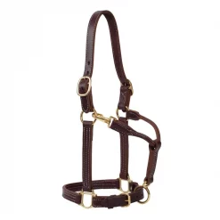 Weaver Leather Oiled Canyon Rose Track Horse Halter