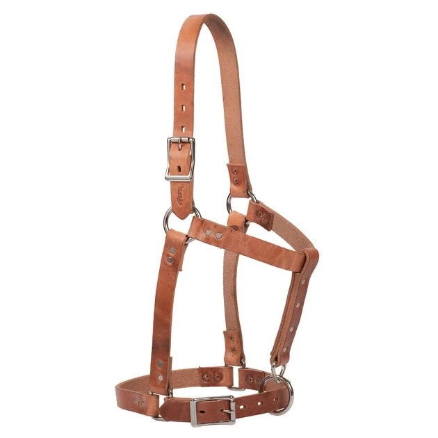 Weaver Leather Riveted Russet Horse Halter 3 Weaver Leather Riveted Russet Horse Halter